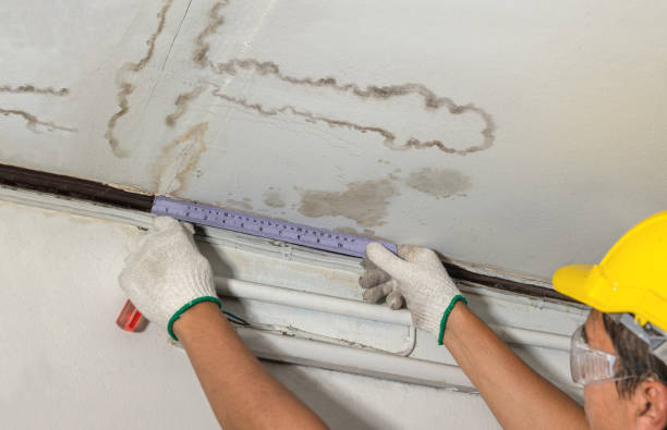 Reliable Water Damage contractor in Canyon, TX by Water Damage Irwin